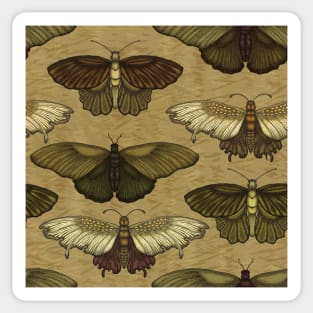 Earth Tone Butterfly Pattern Sticker